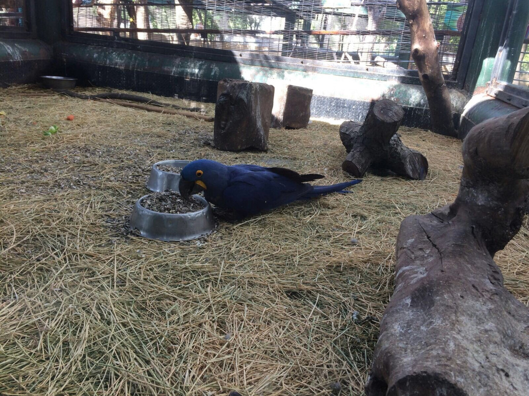 Zoologico Culiacan-Culiacan必去景点