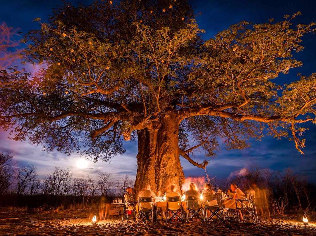Tuskers Bush Camp