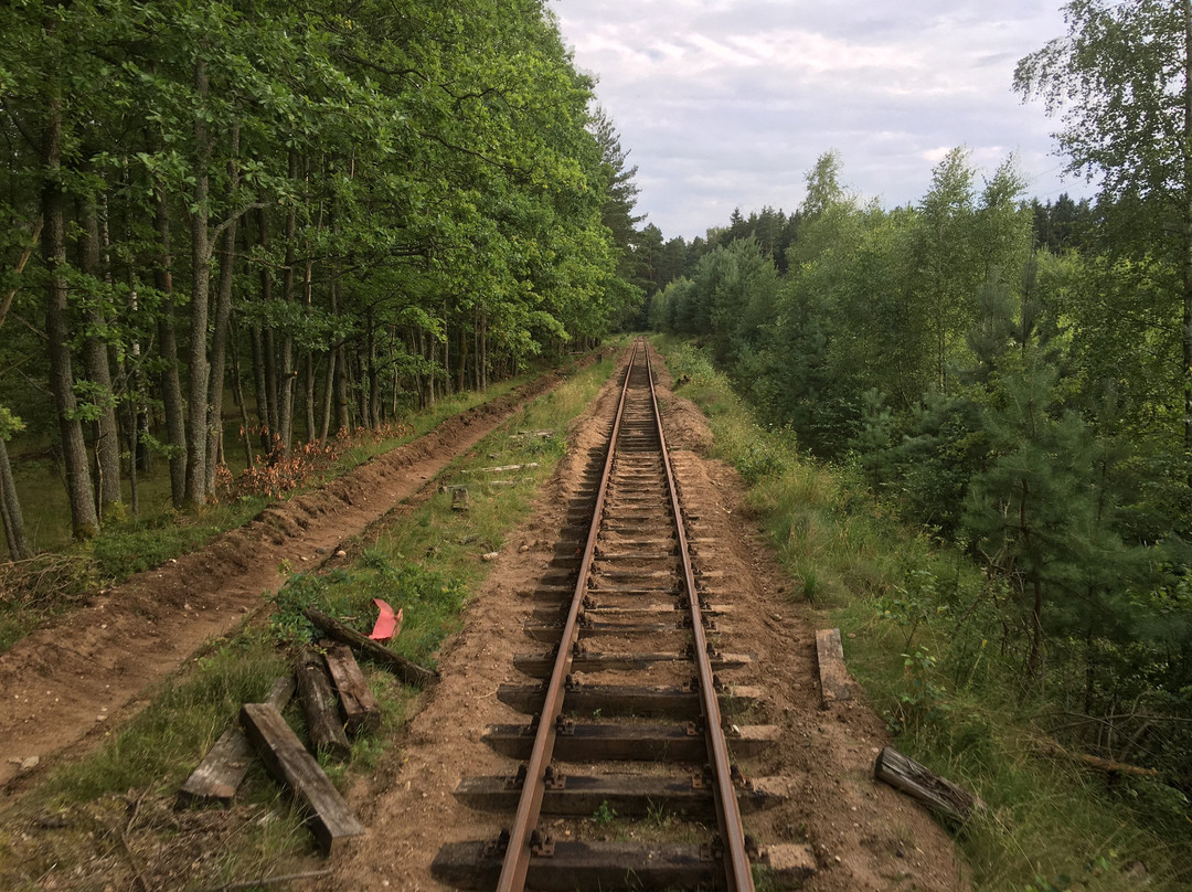 Koszalin旅游攻略图片