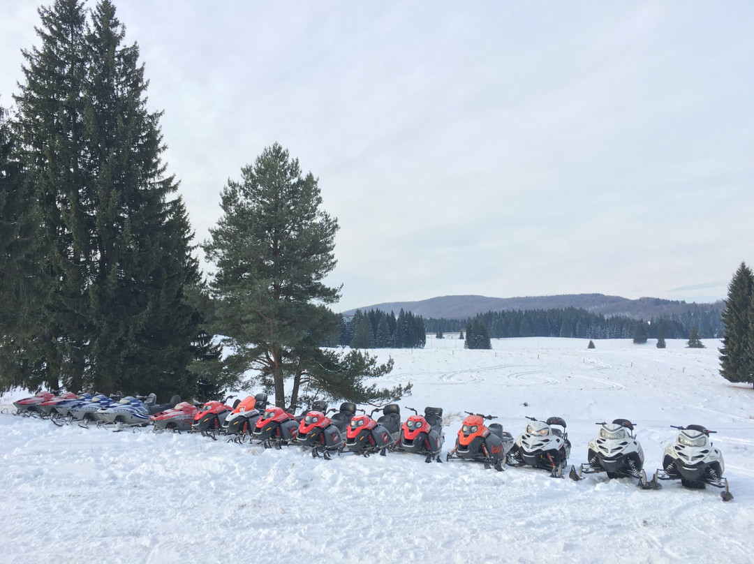 Quad Team Building-波亚纳布拉索夫必去景点