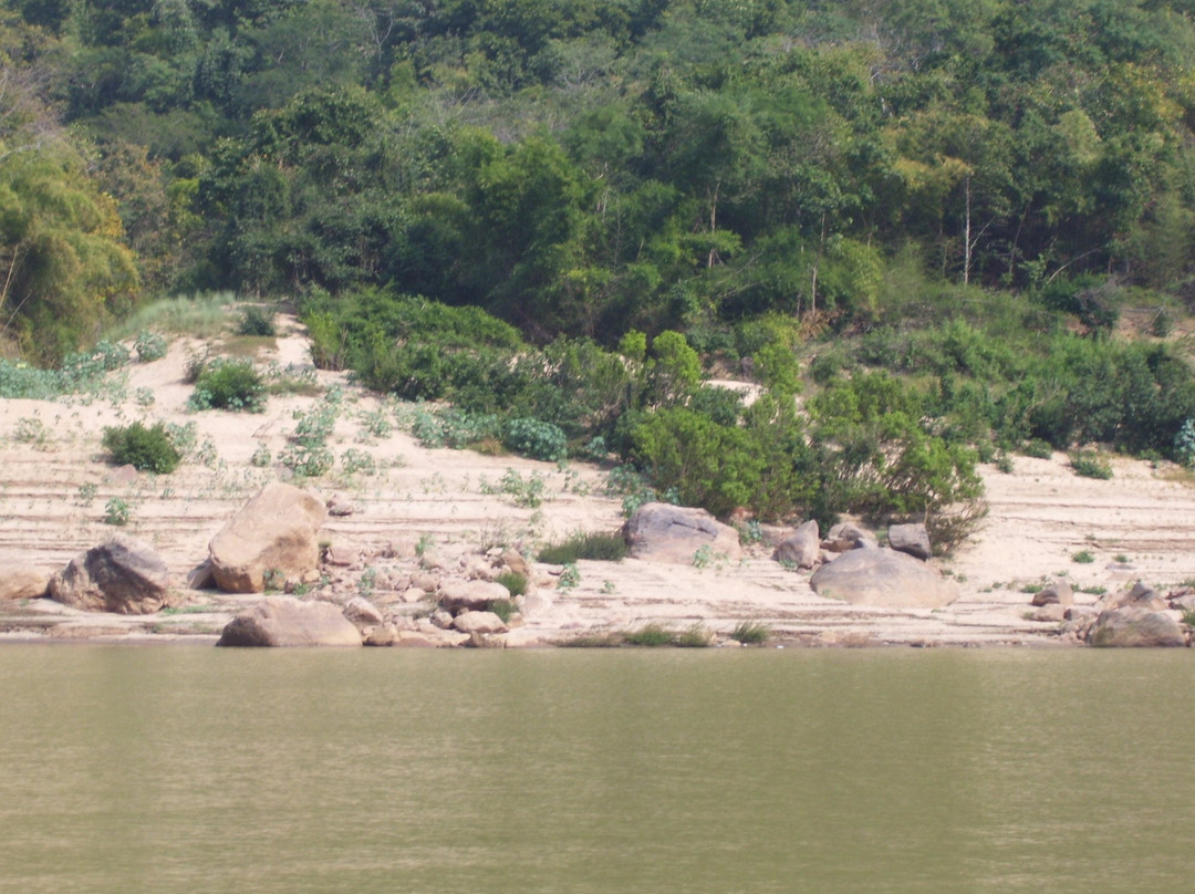 Sai Krishna Godavari Boat Travels - Day Tours景点图片