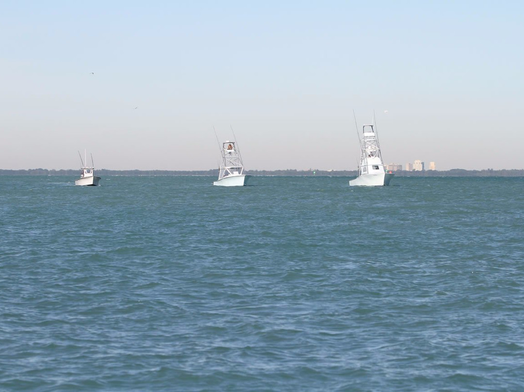 Miami Fishing Charter-迈阿密必去景点