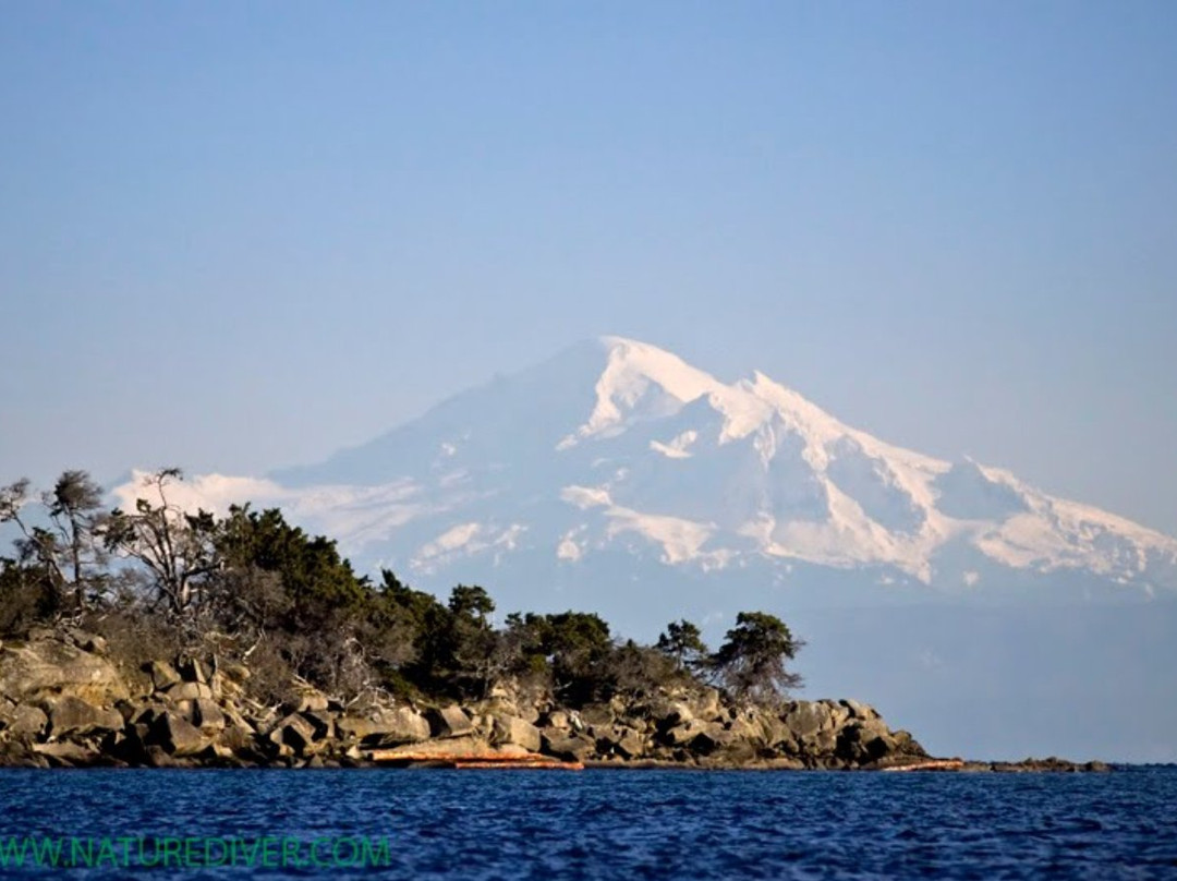 Kayaking Gulf Islands-Mayne Island必去景点