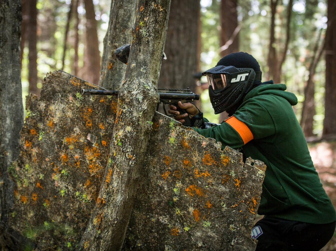 Action Games Paintball景点图片