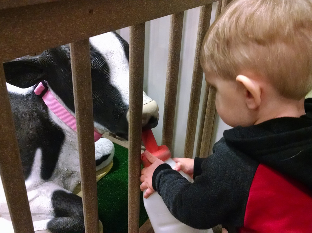 Children's Museum of Eau Claire-欧克雷尔必去景点