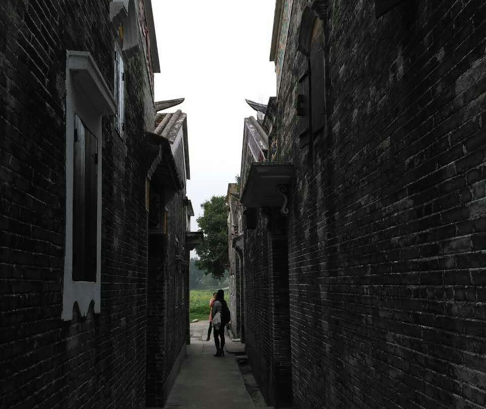 江门自力村碉楼群景点图片