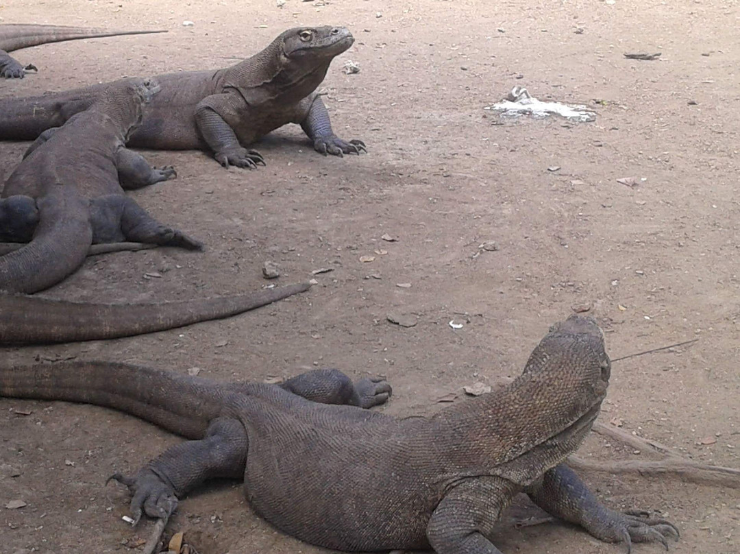 Blue Ocean Boat Trips-Gili Meno必去景点