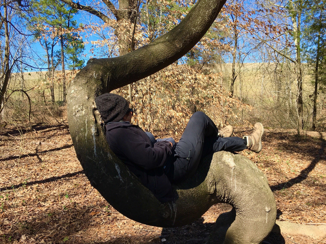 Dutch Gap Conservation Area-Chester必去景点