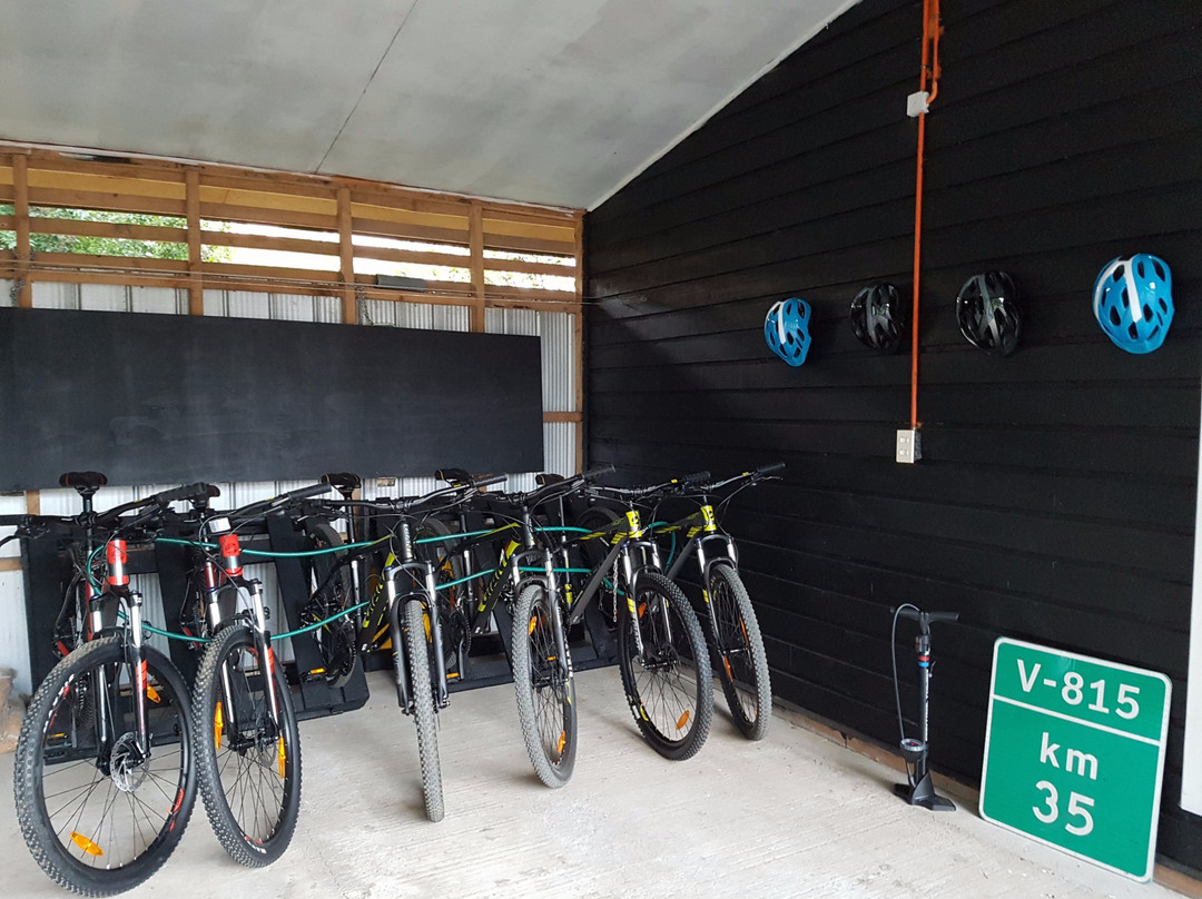 Puihua Expeditions-Lago Ranco必去景点