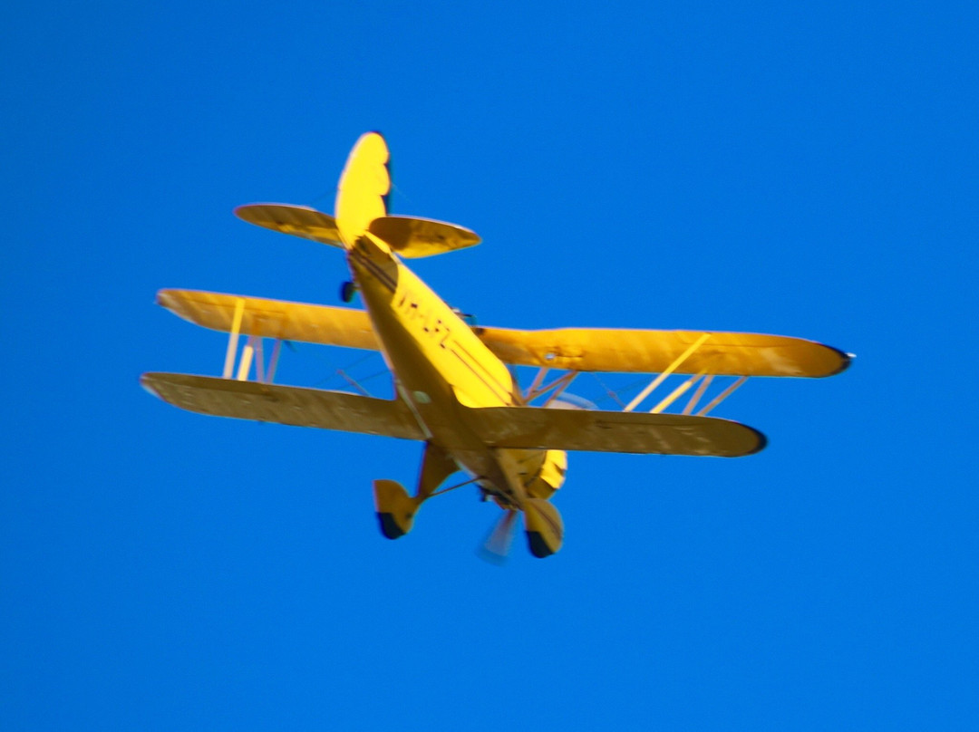 Joy Flights Port Lincoln-Port Lincoln必去景点