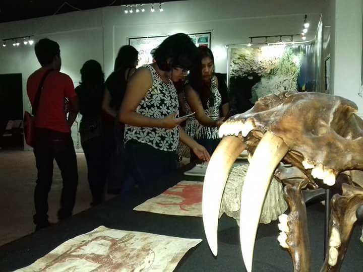 Museo de la Prehistoria Parque Dos Ojos-图伦必去景点