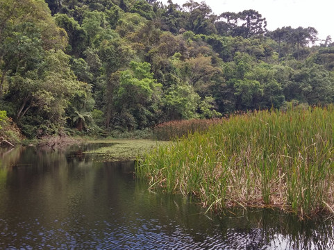 Lago das Carpas-Mairipora必去景点