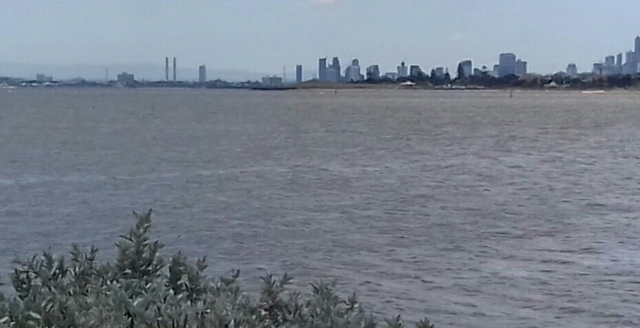 Foreshore Reserve-布莱顿必去景点