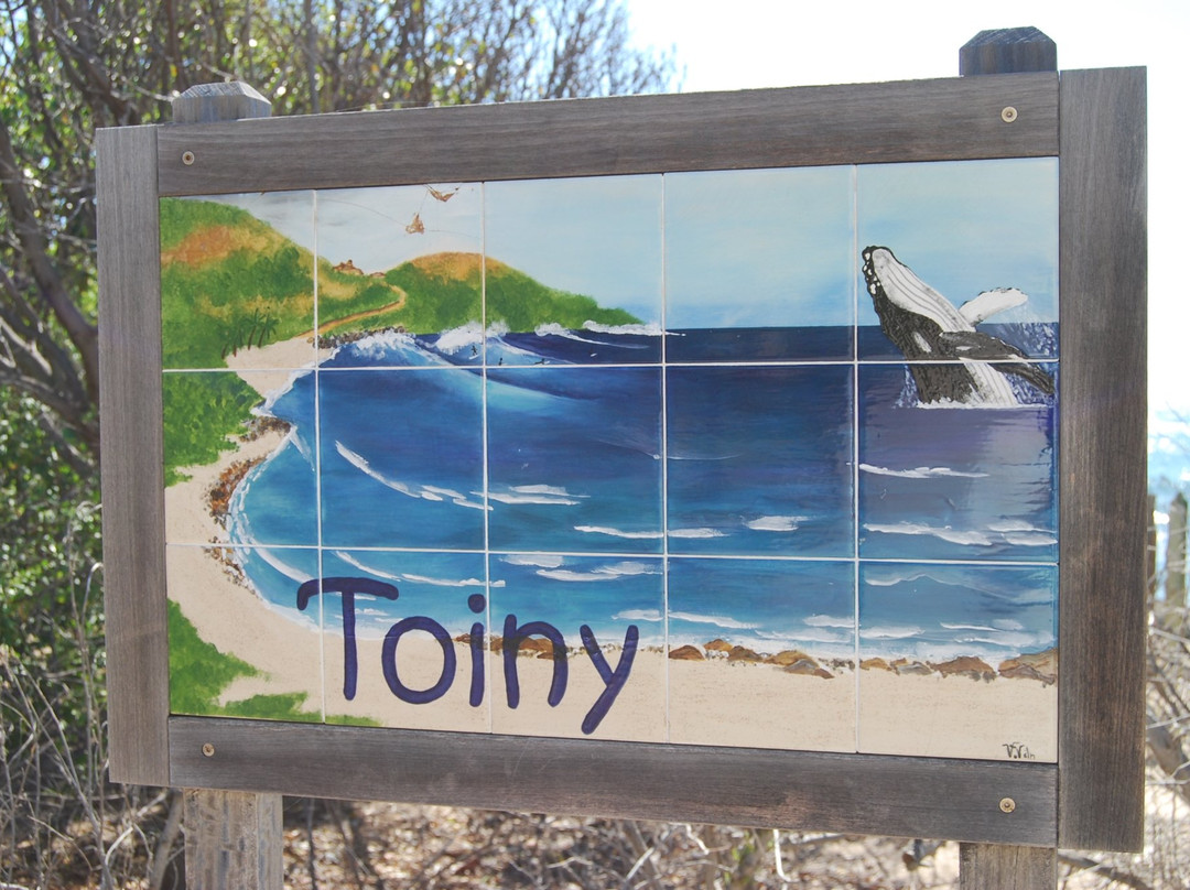 Toiny Coast-圣巴托洛缪岛必去景点