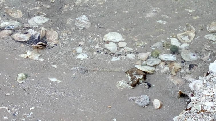 Howard Murph Memorial Park-罗克波特必去景点