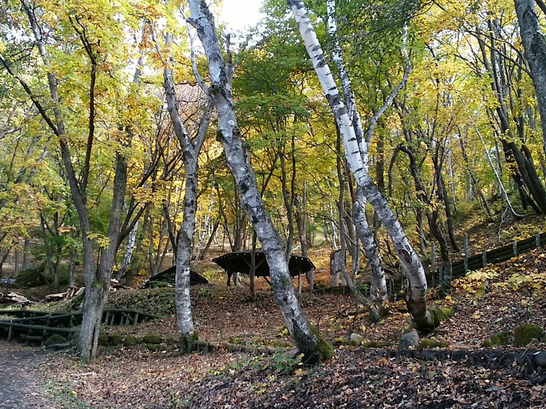 Kanmandaki Observation Deck-山之内町必去景点