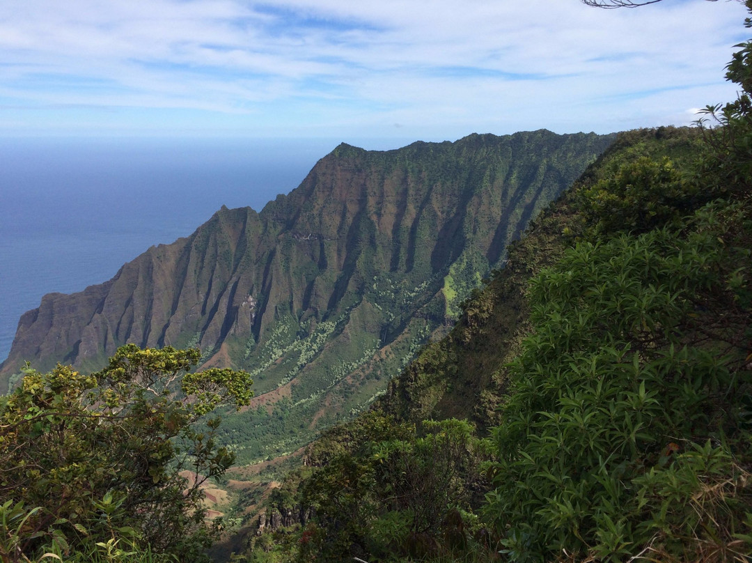 Koke'e Mountains-威美亚必去景点
