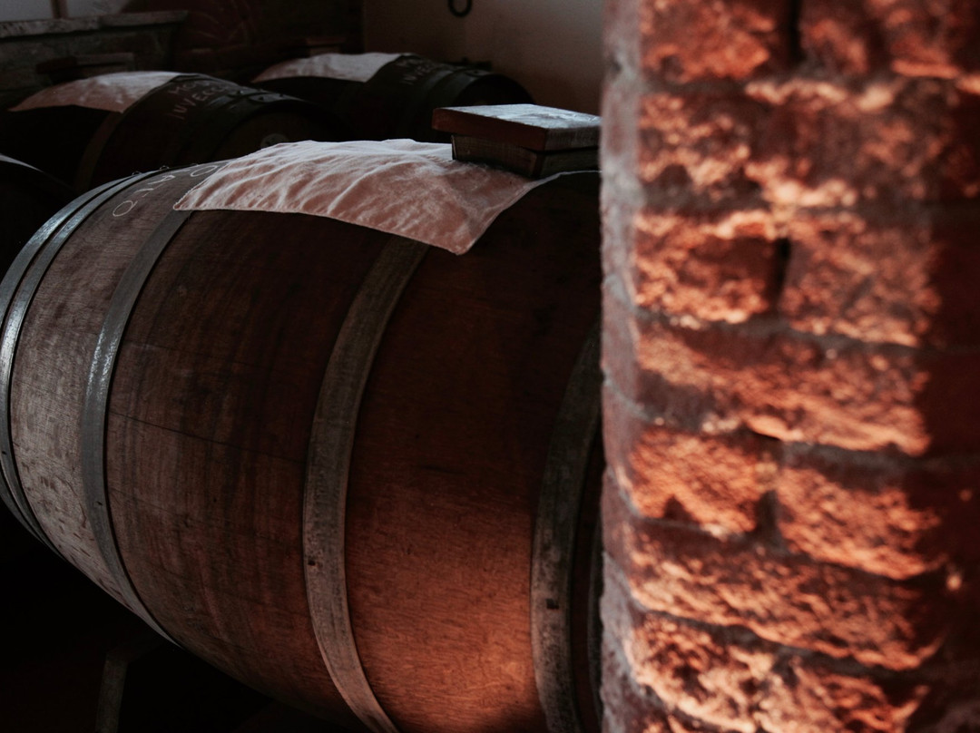 La Cascina Di Balsamico Bonini景点图片