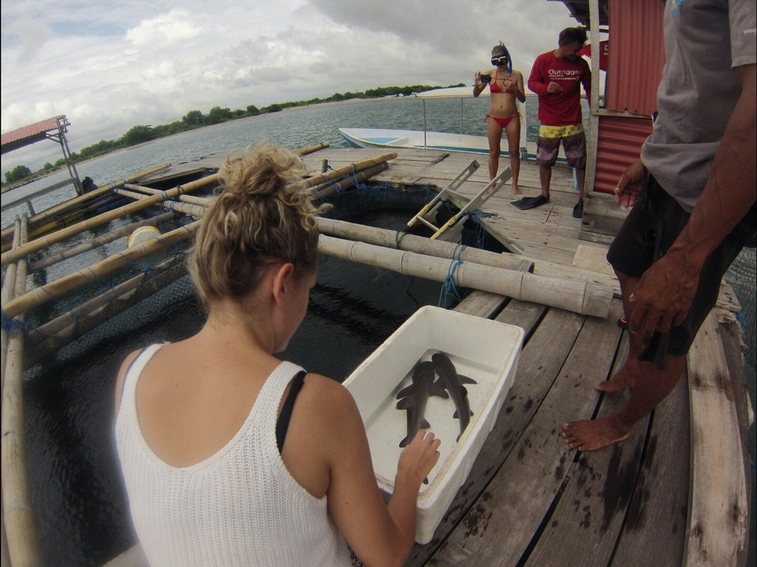 Bali Sharks-Serangan必去景点