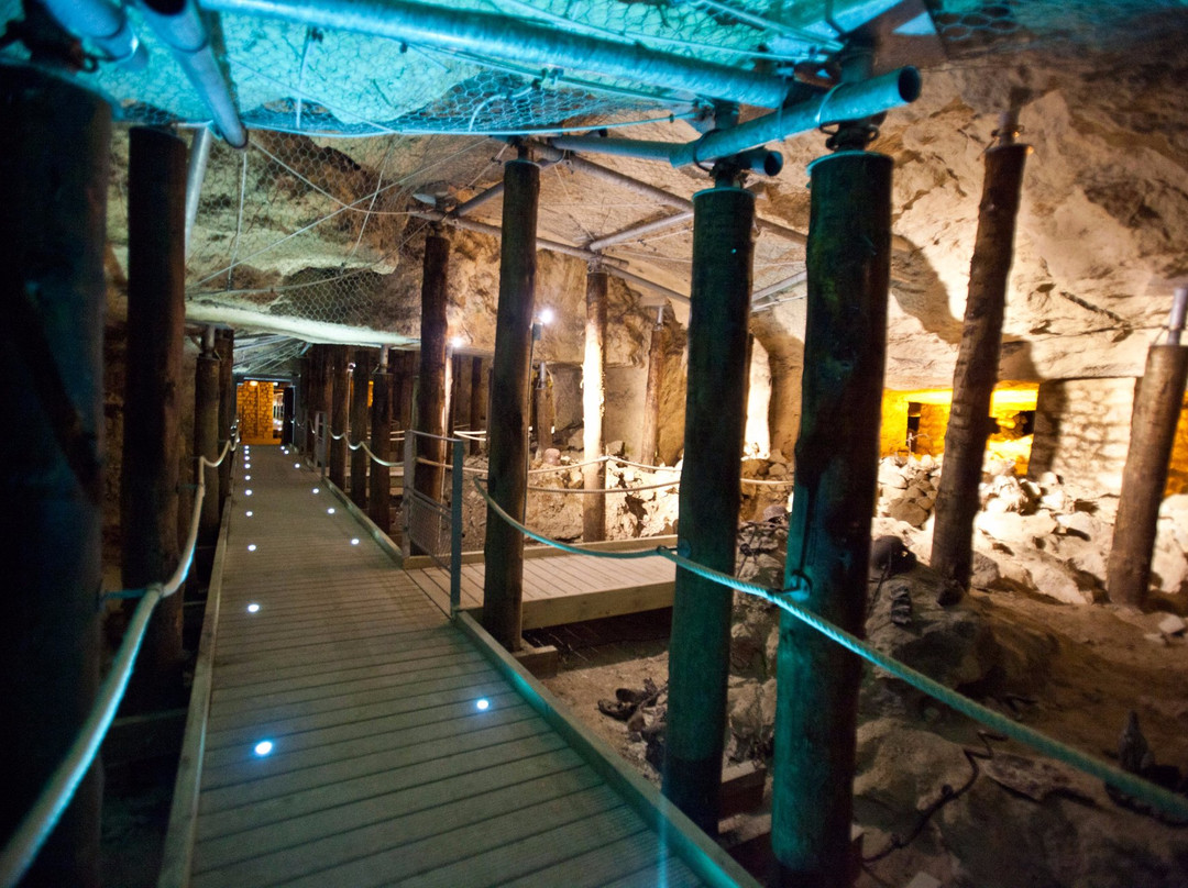 Caverne du Dragon, Musee du Chemin des Dames景点图片