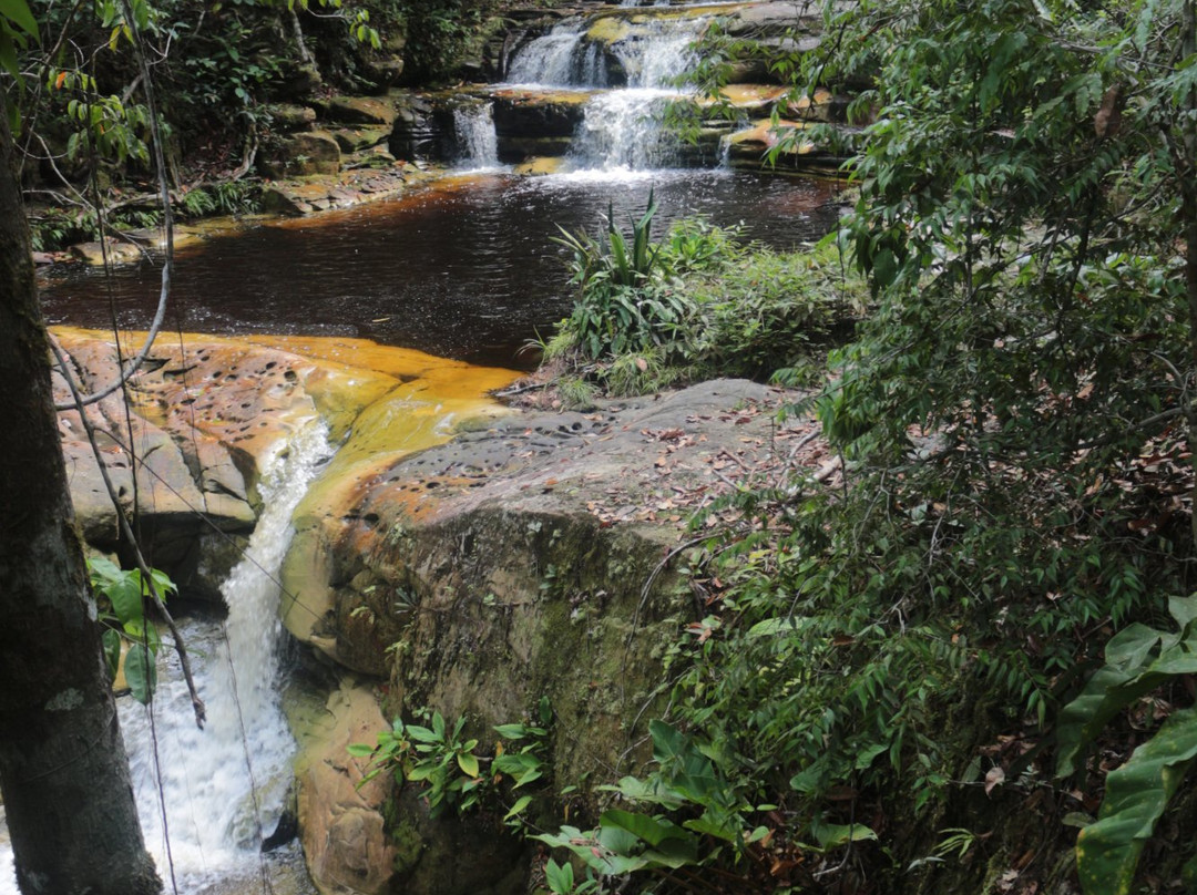 Cachoeira de Sussuarana-Presidente Figueiredo必去景点