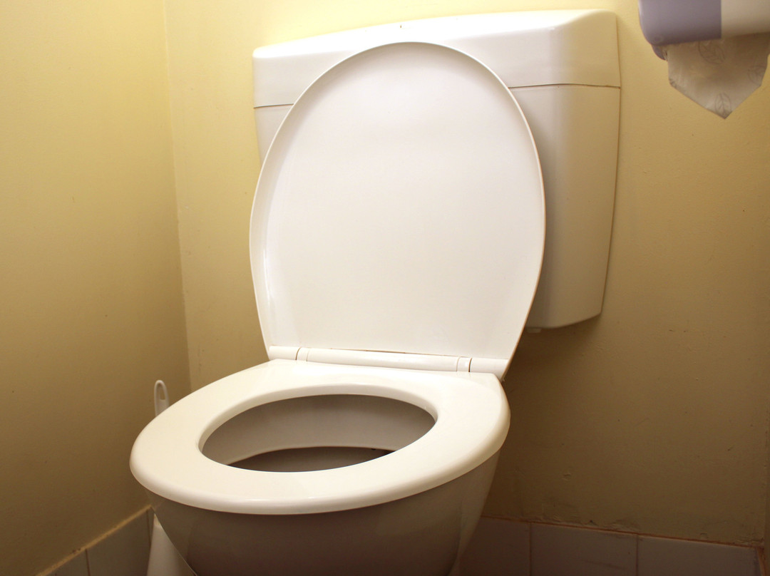 Bruce Rock Hotel主图