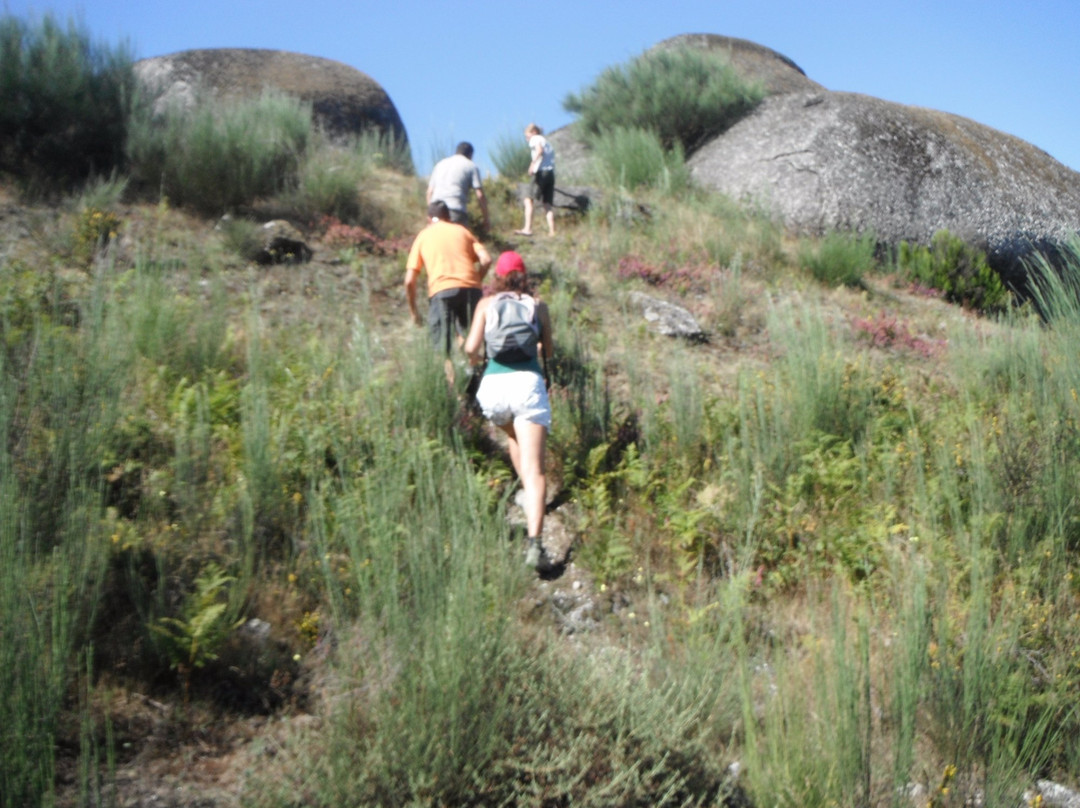 维埃拉·多米尼奥酒店住宿-Quinta Da Penela