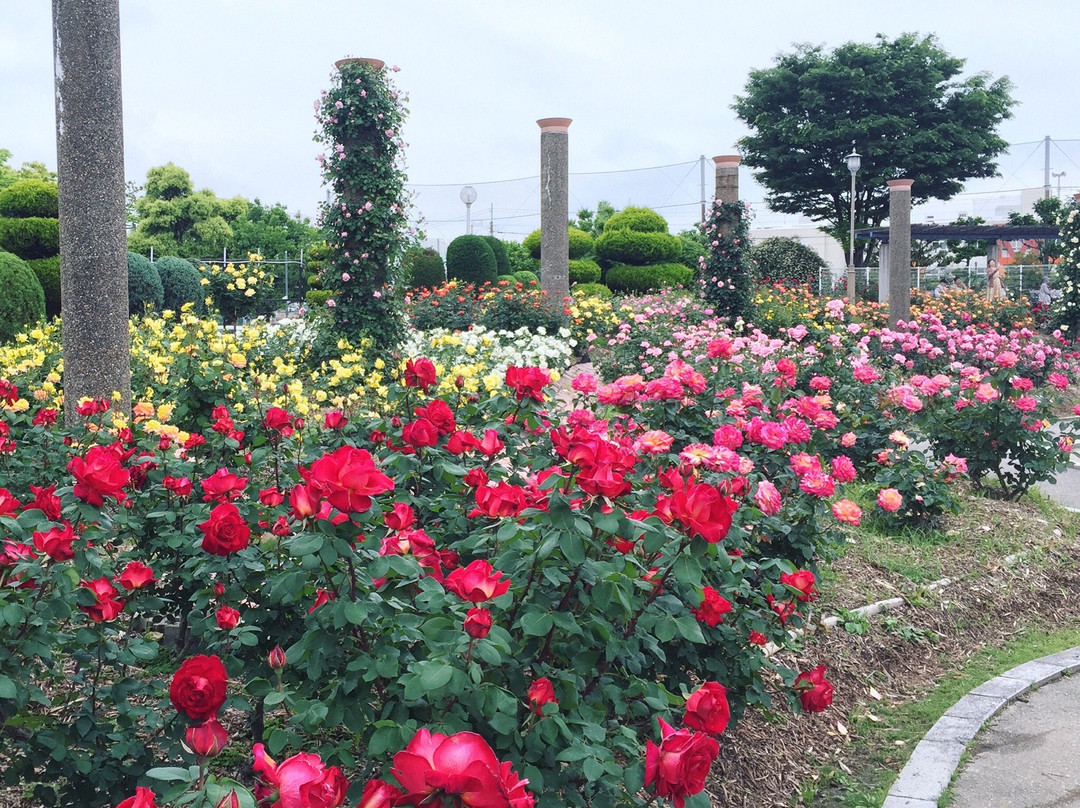 Wakazono Park
