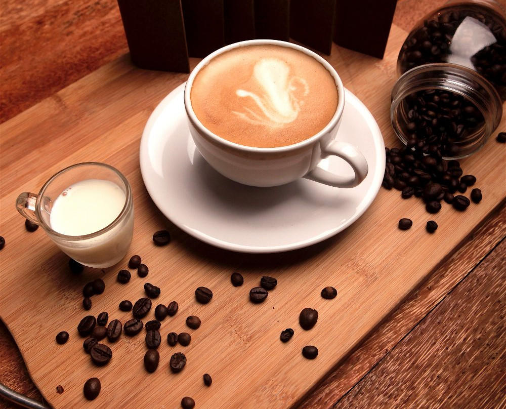 CANOPY CENTER Coffee House