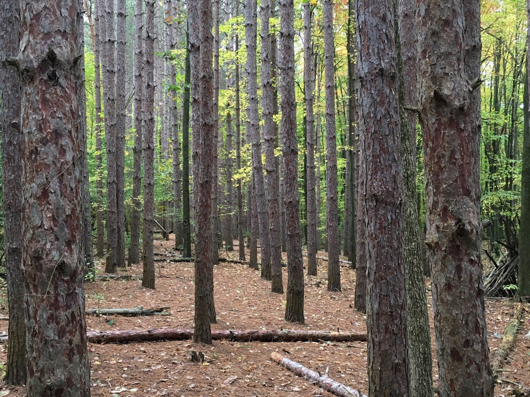 Seidman Park-Ada必去景点