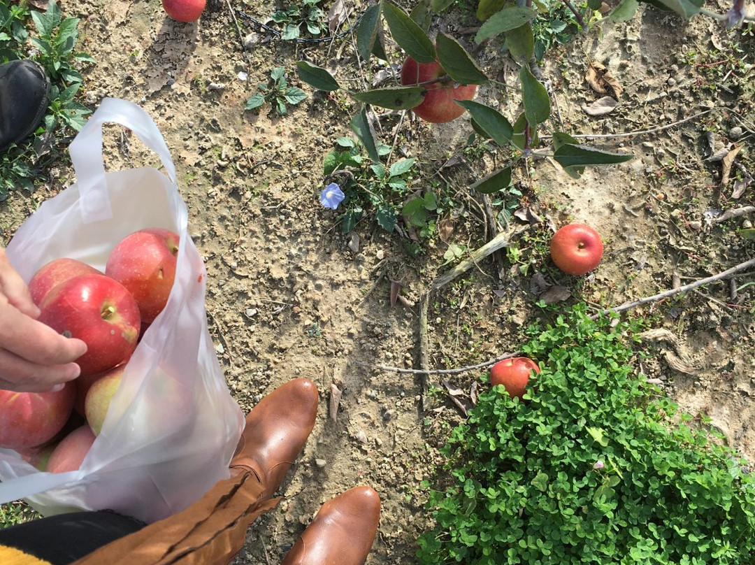 Tuttle Orchards-Greenfield必去景点