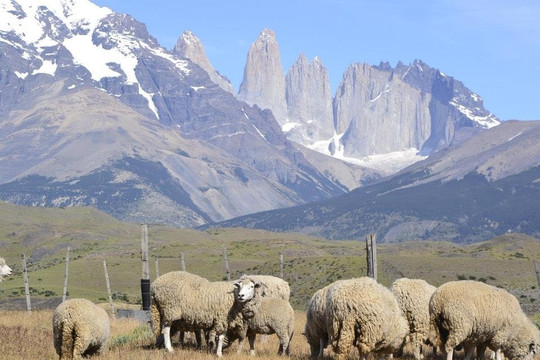 Buses Maria Jose-纳塔莱斯港必去景点