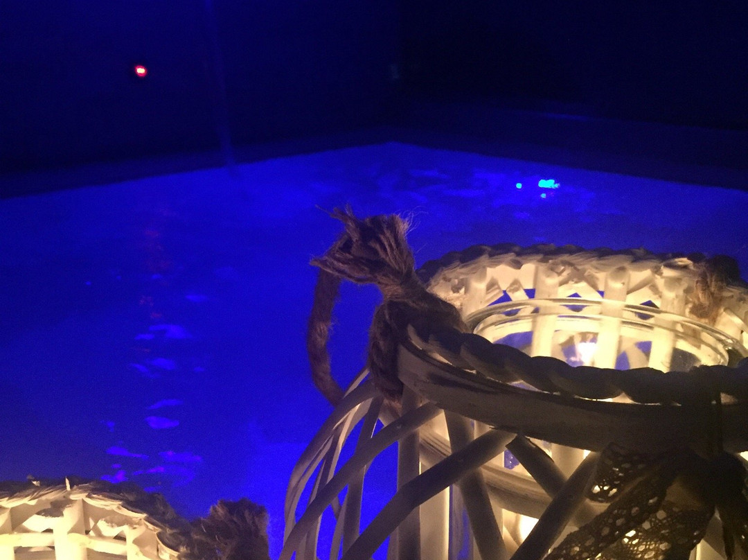 My Suite Spa-Miranda必去景点