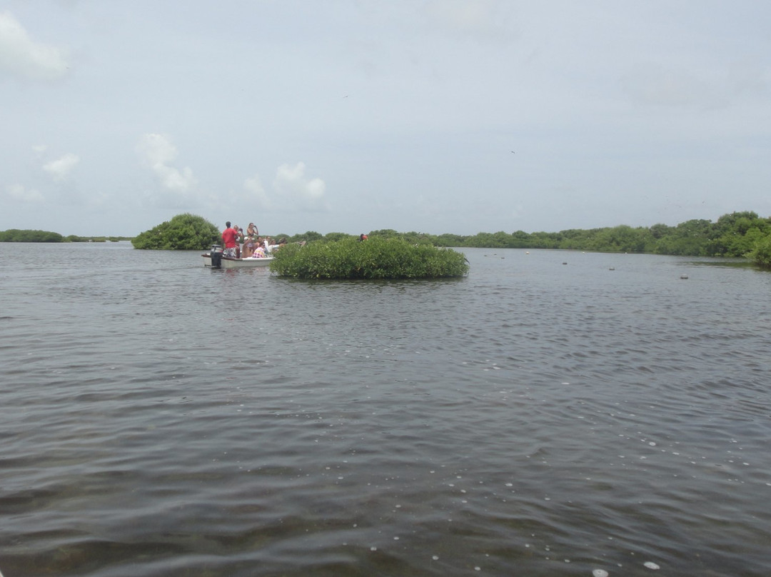 Frigate Bird Sanctuary-巴布达必去景点