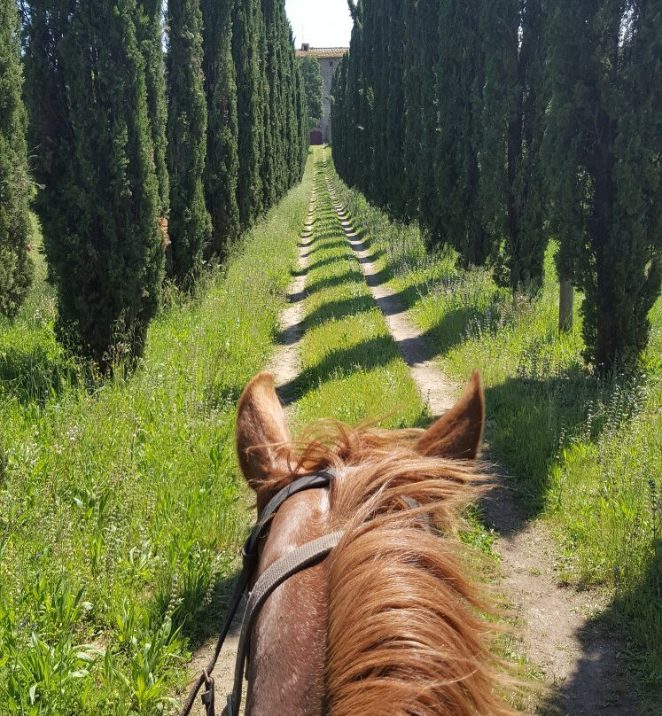 ASD Il Destriero-Buonconvento必去景点