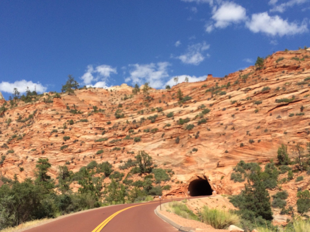 Zion Natl Park Forever Project-斯普林代尔必去景点