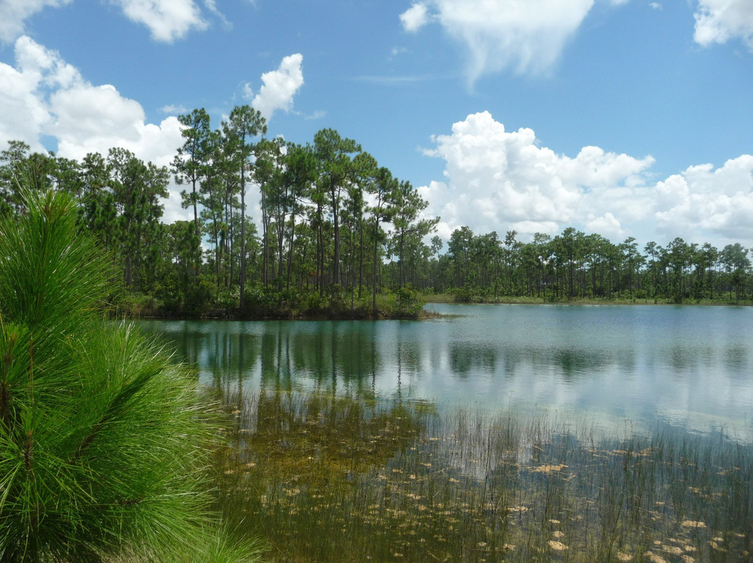Long Pine Key-大沼泽国家公园必去景点