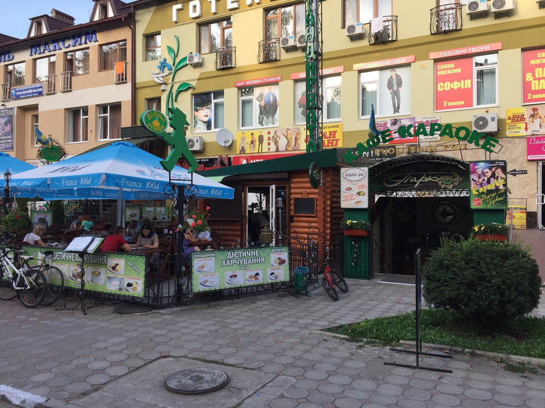 Shevchenkove餐馆和美食-Cafe Park Plyus