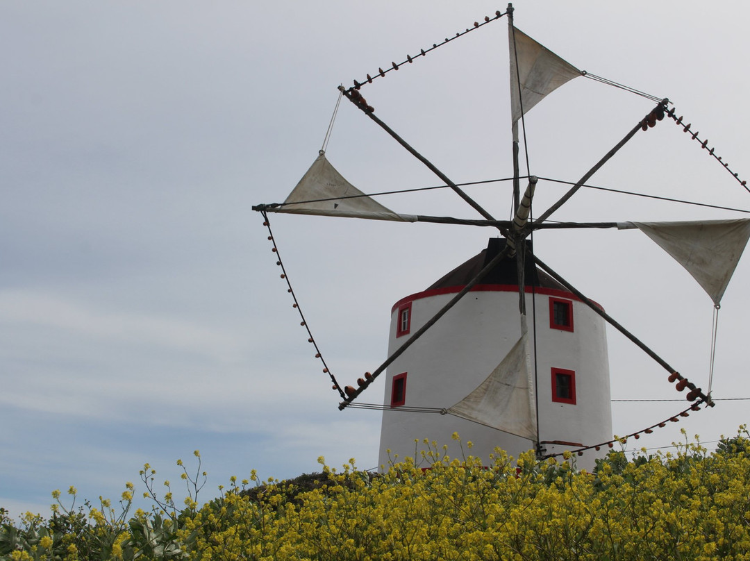 Boneco Windmill景点图片