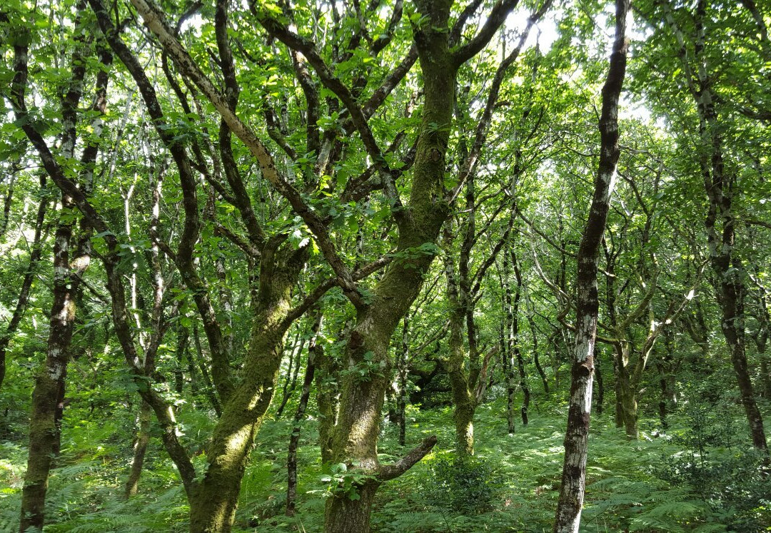 Barmouth Heritage Trail-Barmouth必去景点