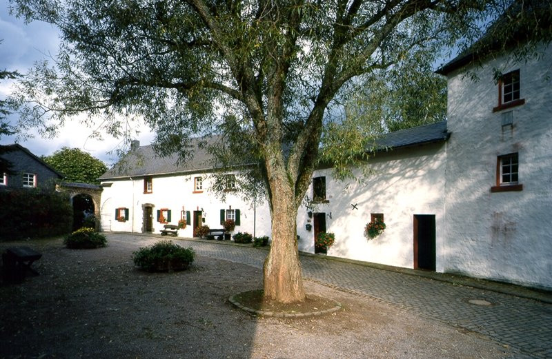 Burg Reifferscheid景点图片