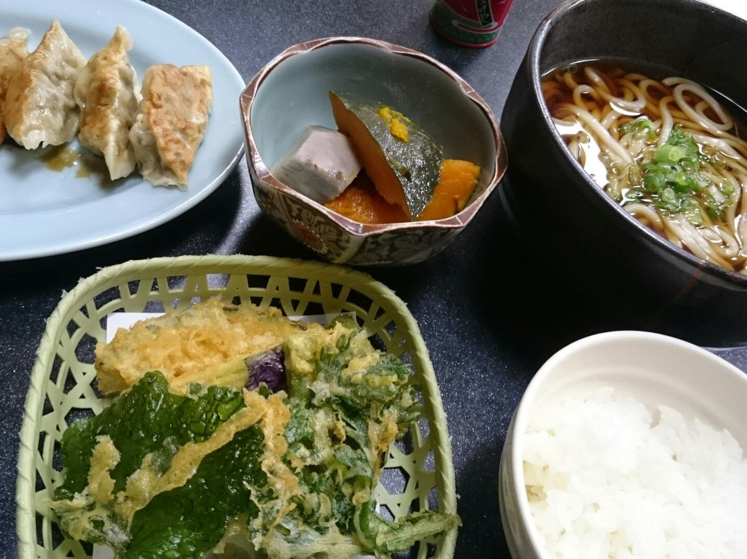 Hayabusa Onsen-山梨市必去景点