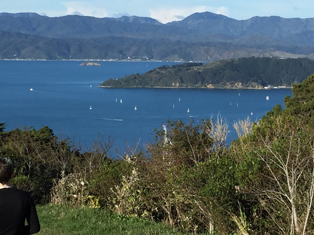 Tinakori Hill-惠灵顿必去景点