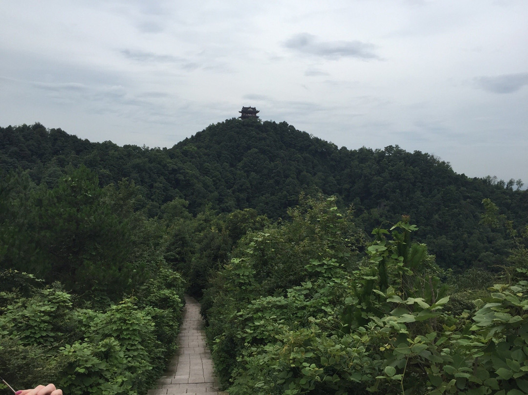 云碧峰森林公园-上饶市必去景点