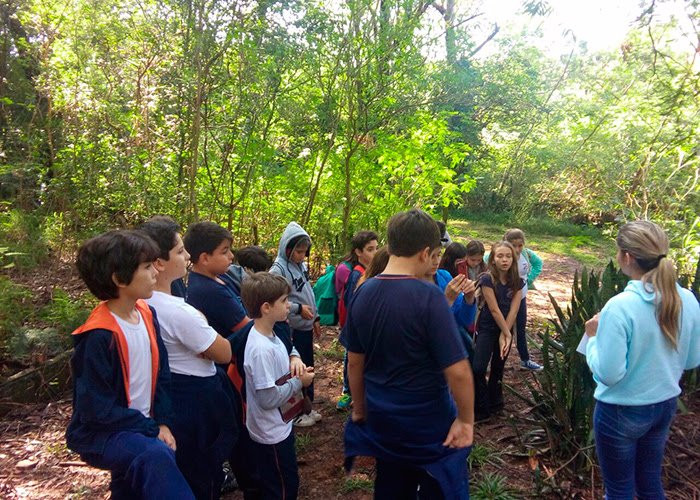 Horto Florestal de Lins-Lins必去景点