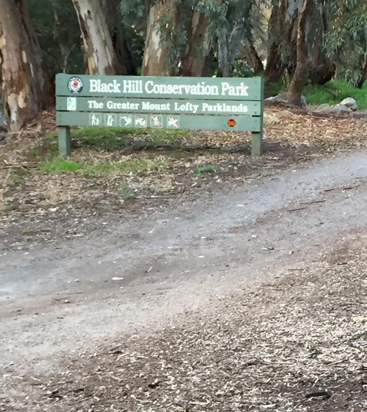 Black Hill Conservation Park-阿德莱德必去景点