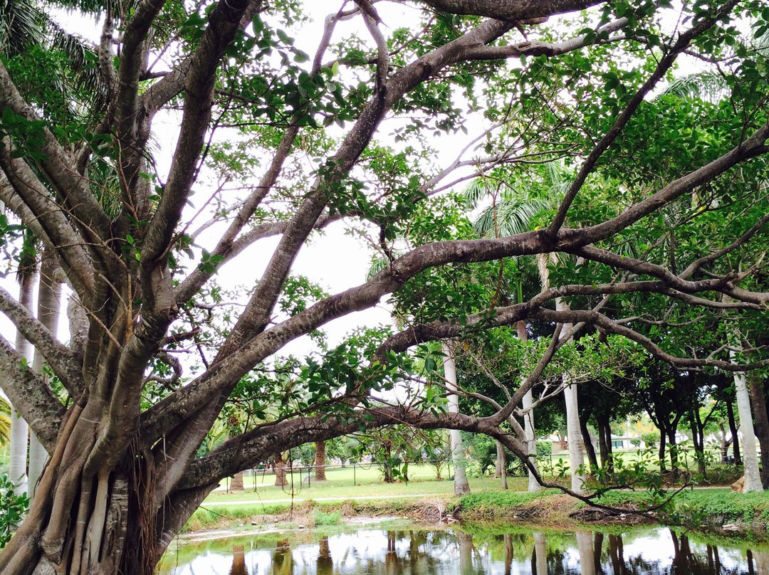 Crandon Park-比斯坎湾必去景点