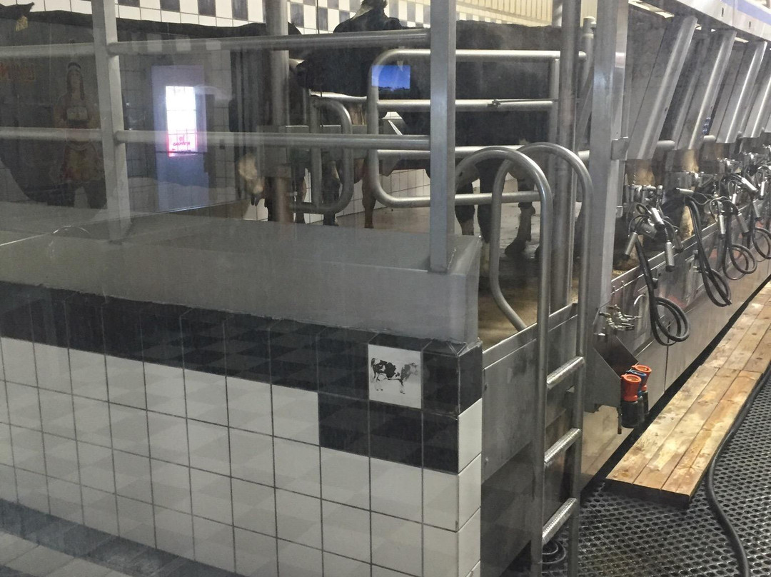 Schopf's Hilltop Dairy-斯特金贝必去景点