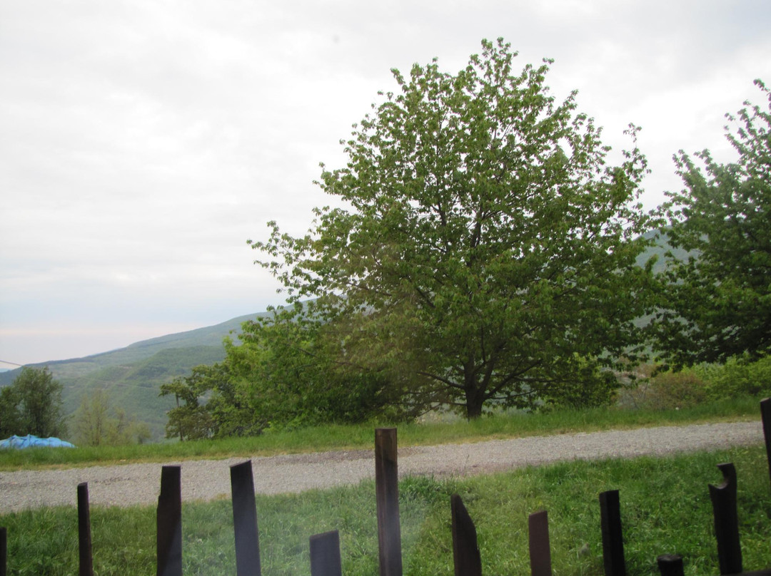 Fattoria L'aurora景点图片