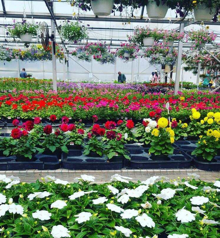 Hallock's U-Pick Farm-New Egypt必去景点
